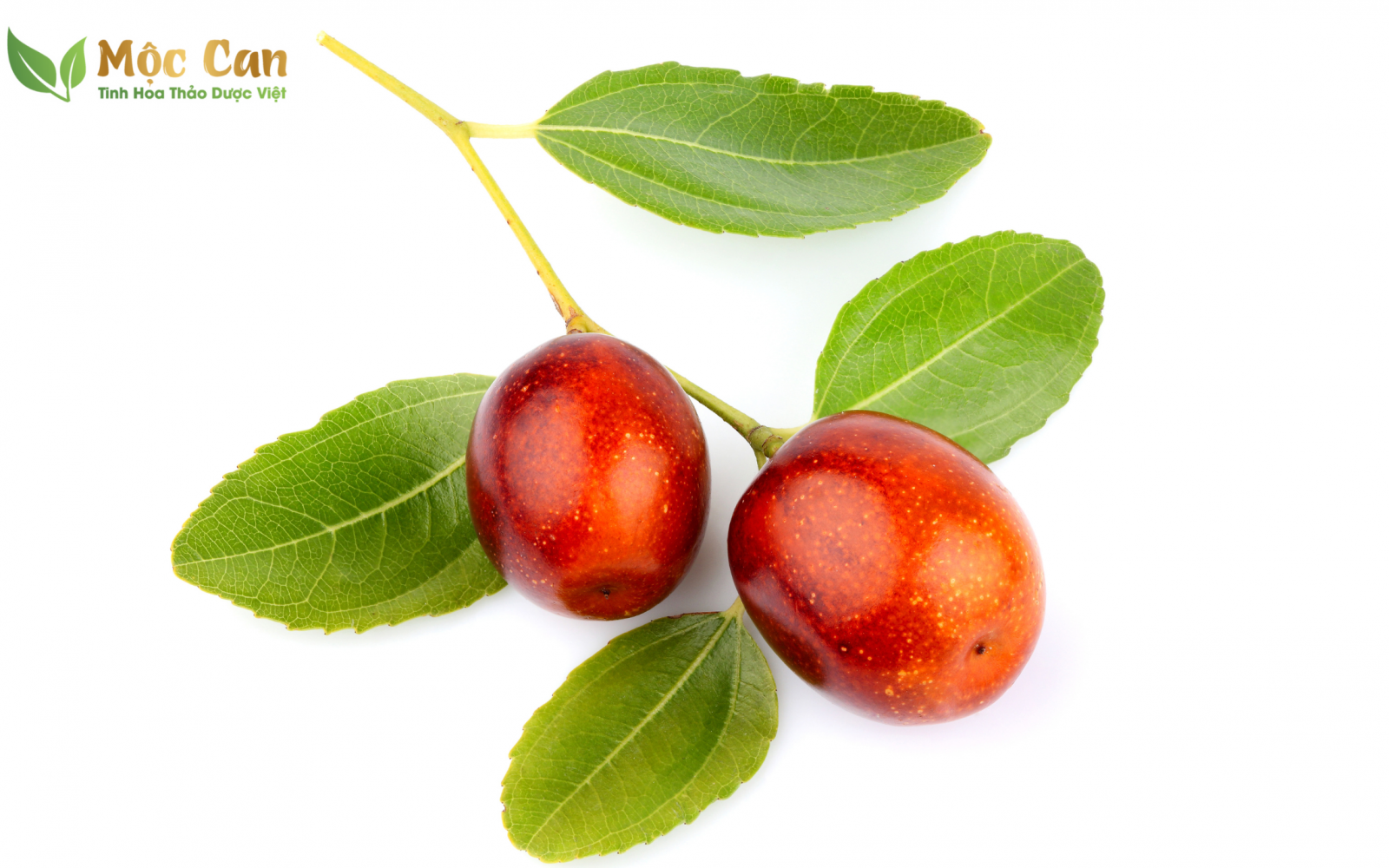 NÊN DÙNG TÁO ĐỎ TƯƠI HAY KHÔ ?  2